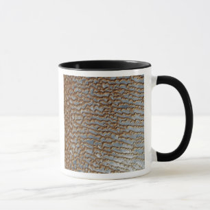 Taza Al Khali, Arabia de Rub