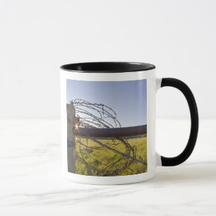 Taza Alambre de púas enrollado en la hilera de cercas c