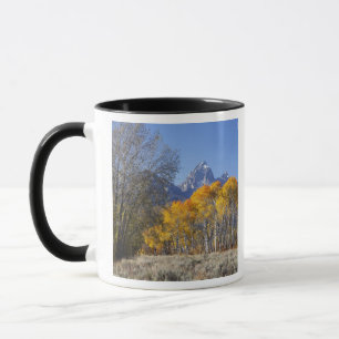 Taza Álamos con la cordillera Teton