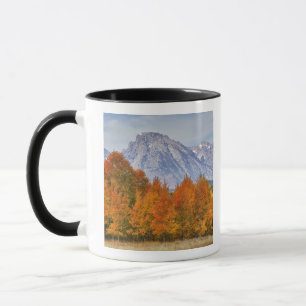 Taza Álamos con la cordillera Teton