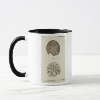 Taza Alaska