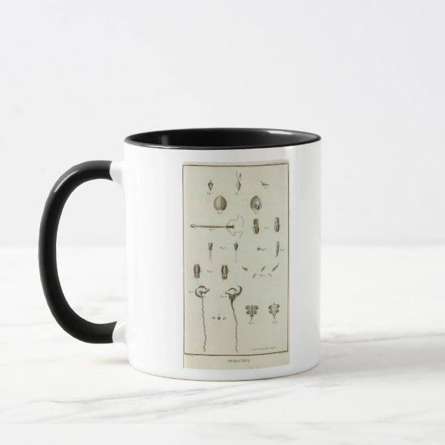 Taza Alaska 3 (Izquierda)