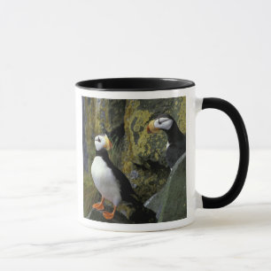 Taza Alaska, Isla de San Pablo, las Pribilof, cuernibla