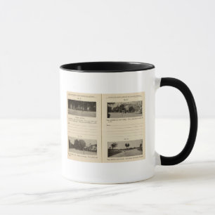 Taza Albany, NY