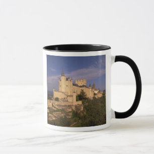 Taza Alcázar y Catedral, Segovia, Castilla y León,