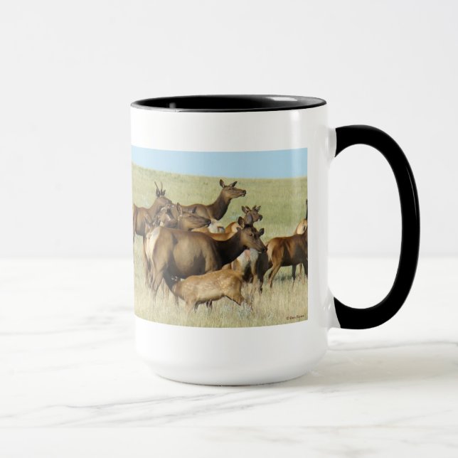 Taza Alce hembra E7 amamantando a su cría (Derecha)