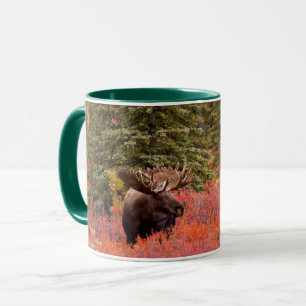 Taza Alce macho de pie en abedul enano rojo