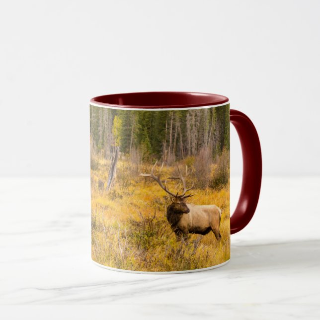 Taza Alce macho | Parque Nacional Montañas Rocosas Colo (Anverso derecho)