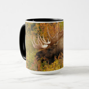 Taza Alce Parque Nacional Denali, Alaska