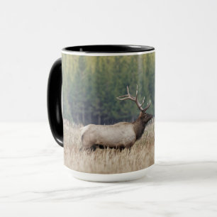 Taza Alce Toro en Pradera Parque Nacional Yellowstone