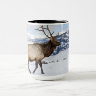 Taza Alce toro solitario   Parque Nacional Yellowstone