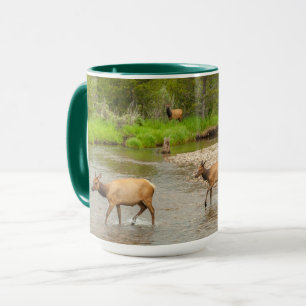 Taza Alces cruzando el río Colorado