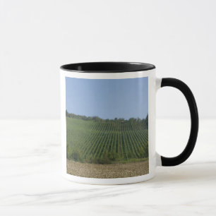 Taza Alemania, Franconia, Rothenburg. Vista a lo largo