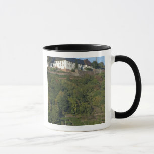 Taza Alemania, Franconia, Wertheim. Colinas especiales