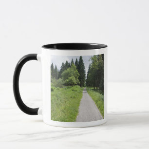 Taza Alemania, Thuringia, trayectoria en bosque