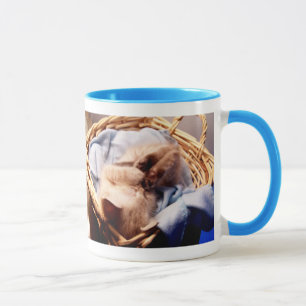 taza alérgica del humor de la diversión del gato