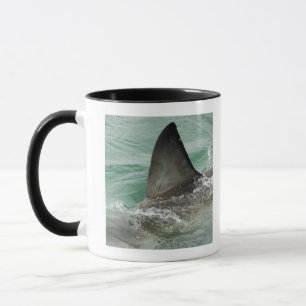 Taza Alerón dorsal de un gran tiburón blanco
