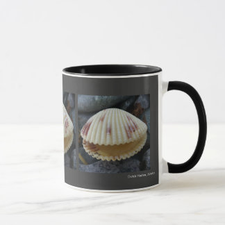 Taza Almeja manchada del berberecho en la isla de