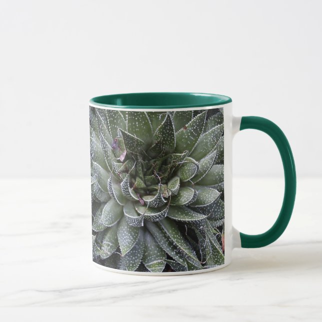 TAZA ÁLOE (Derecha)