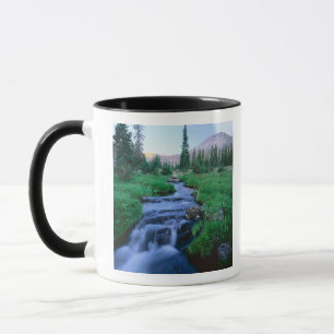 Taza ALTO UINTAS WILDERNESS, UTAH. Stillwater Fork