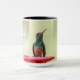 Taza Alumnaicorus malhus