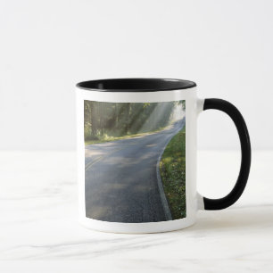 Taza Amanecer a través de la niebla junto al río Green