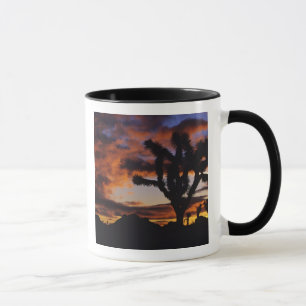 Taza Amanecer Espectacular en Joshua Tree National