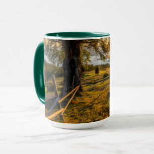 Taza Amanecer oxidado en un bosque