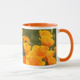 Taza Amapolas de California, Parque Estatal Montana de
