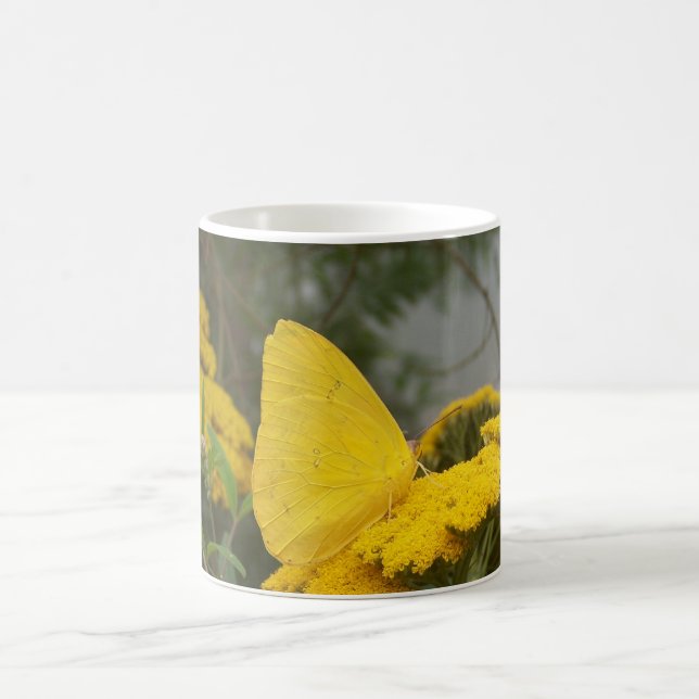 Taza amarilla de la mariposa (Centro)