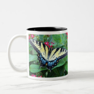 Taza amarilla de la mariposa de Swallowtail