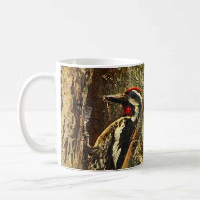 taza Amarillo-hinchada del Sapsucker (Izquierda)
