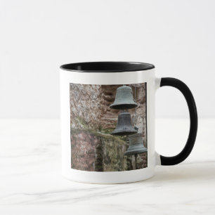 Taza América Central, Guatemala, Antigua