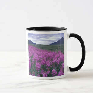 Taza América del Norte, Canadá, Yukón. Epilobio florece
