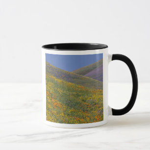 Taza América del Norte, Estados Unidos, California, Lo