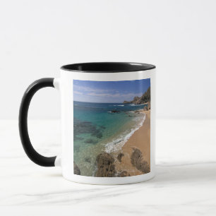 Taza América del Norte, México, Baja California Sur,