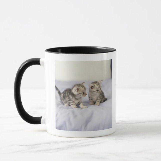 Taza Americano Shorthair 7 (Izquierda)