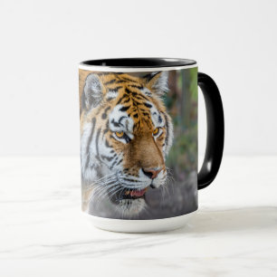 Taza Amur tiger