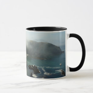 Taza Anacapa Island brumoso en Channel Islands