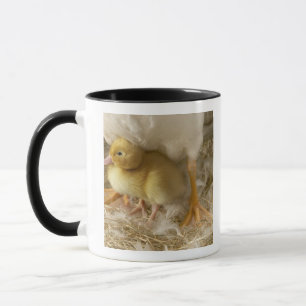 Taza Anadón entre las piernas de la madre