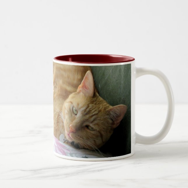 Taza anaranjada del Tabby con verso (Derecha)