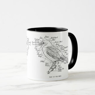 Taza anatomía de aves