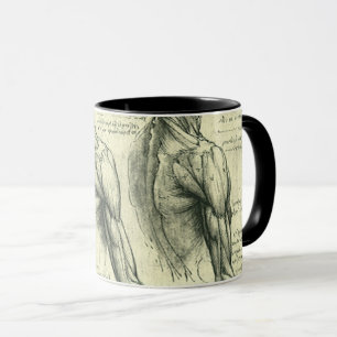 Taza Anatomía del brazo y hombro de Leonardo da Vinci