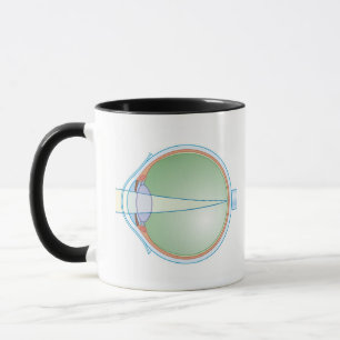 Taza Anatomía del ojo