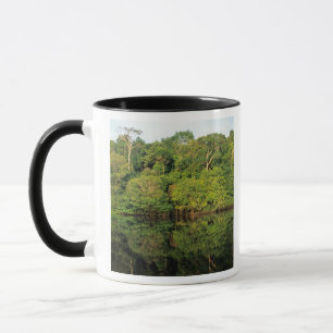 Taza Anavilhanas, Amazonas, Brasil. Río de selva tropic