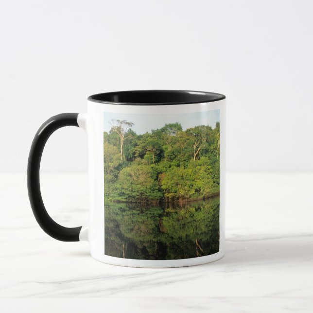 Taza Anavilhanas, Amazonas, Brasil. Río de selva tropic (Izquierda)