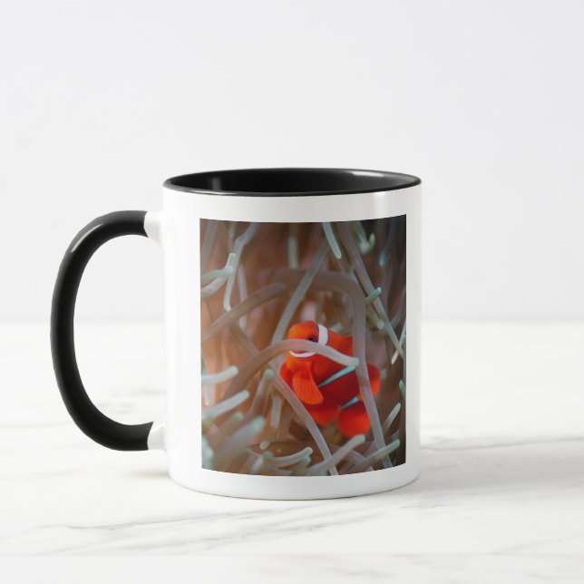 Taza Anemonefish 2 del payaso (Izquierda)