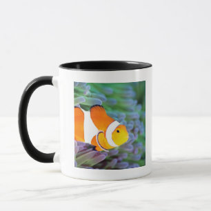 Taza Anemonefish del payaso
