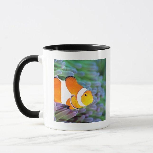 Taza Anemonefish del payaso (Izquierda)
