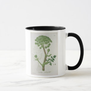 Taza Angélica Archangelica de 'Phytographie Medicale